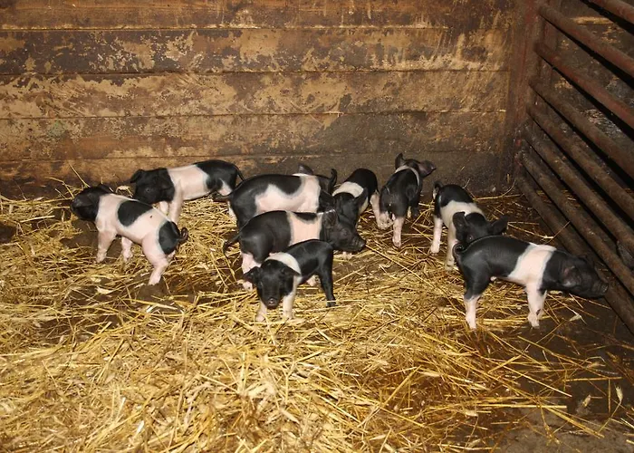 Tvrz Holešice Orlická Přehrada - Hotel Klucenice