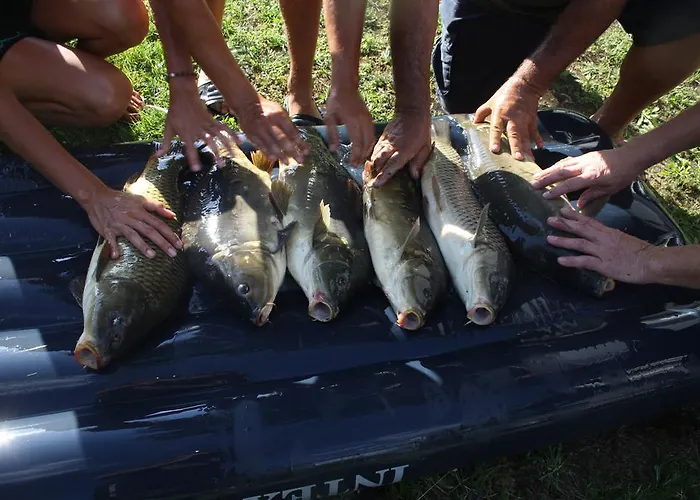 Tvrz Holešice Orlická Přehrada - Hotel *